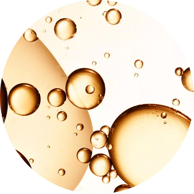 Керамид (NP):