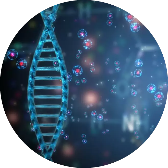 Гидролизованная РНК и ДНК: