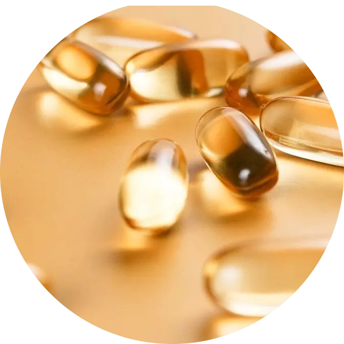 Керамиды (AP, EOP):